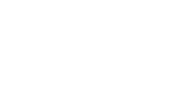 Logo Didaqt Hoogbegaafd Goes Zeeland